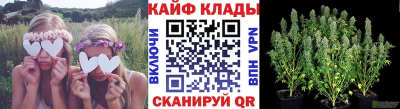 Купить наркоту Вологда Амфетамин Меф мяу мяу mega tor Конопля ГАШИШ КОКАИН A-PVP