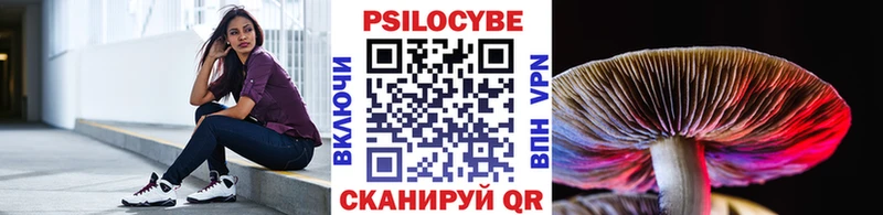 Галлюциногенные грибы мицелий  закладка  Вологда 